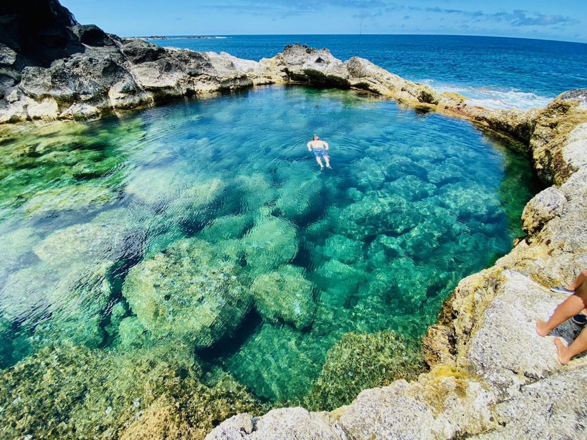 Вилла Sea Roots "Garden Zone " Моштейруш Экстерьер фото